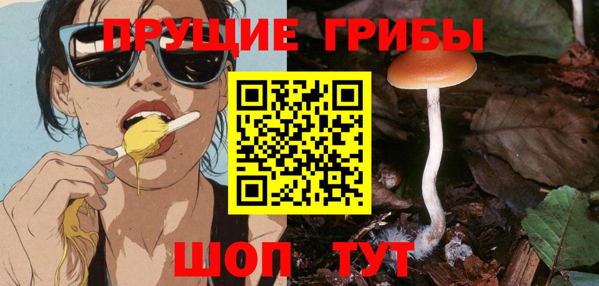 Волхов  Псилоцибиновые грибы ЛСД  Вход с VPN 
