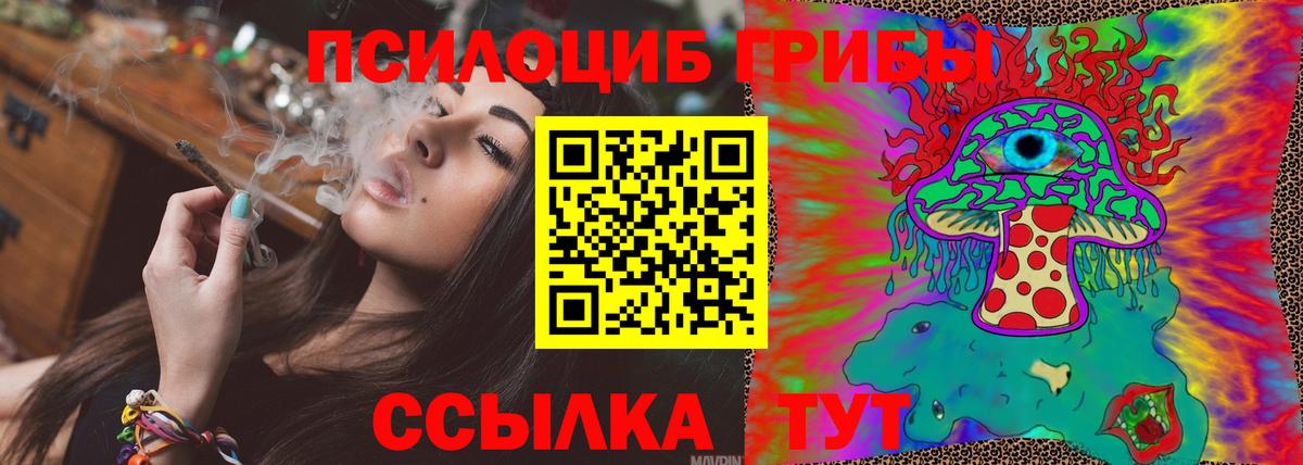 Галлюциногенные грибы мицелий Волхов